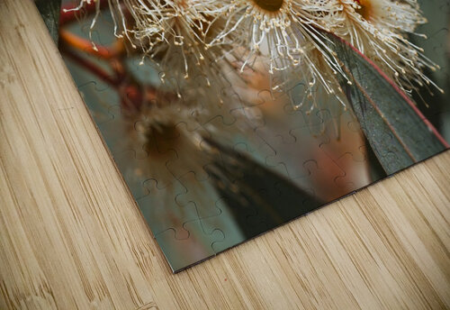Spring Eucalyptus Flowers Joy Watson puzzle