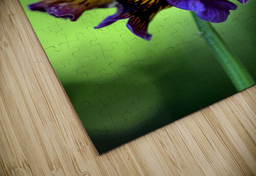 Lacy Pansy Joy Watson puzzle