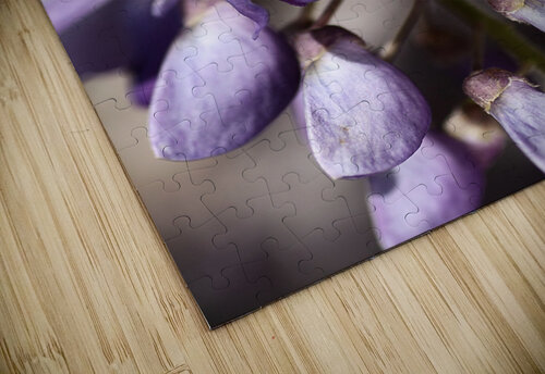Wisteria Joy Watson puzzle