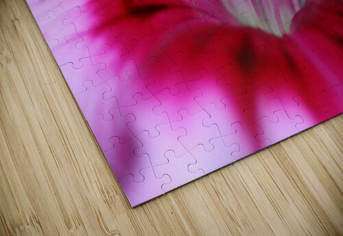 Dianthus Flower Joy Watson puzzle