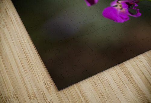 Wallflower Joy Watson puzzle