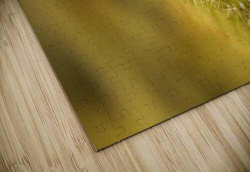 Cactus Spikes Joy Watson puzzle