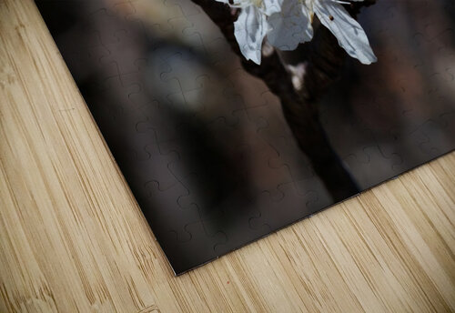 White Spring Blossom Joy Watson puzzle