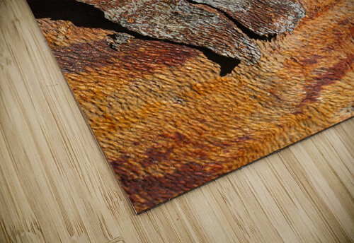 Flowering Gum Bark Joy Watson puzzle