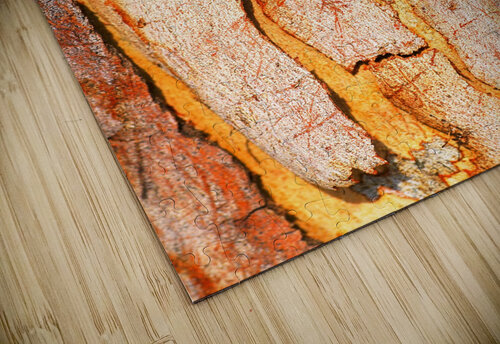 Eucalyptus Bark And Patterns Joy Watson puzzle