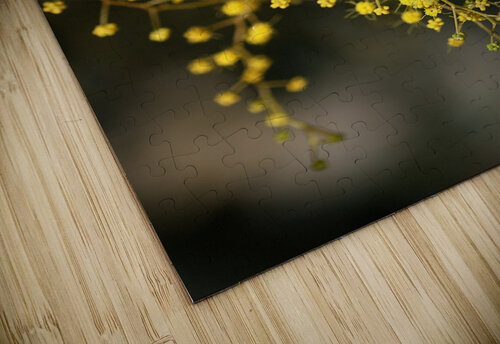 Wattle Trees Lace Joy Watson puzzle
