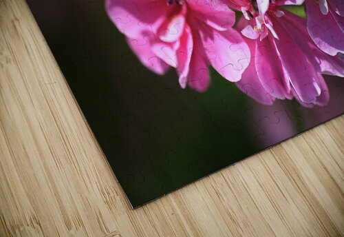 Geranium In Pink Joy Watson puzzle