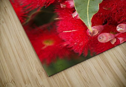 Red Eucalyptus Flowers Joy Watson puzzle