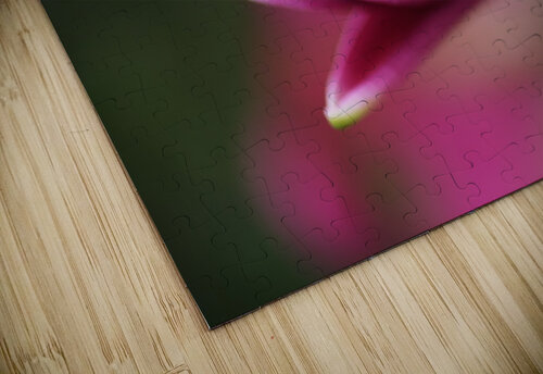 Lily Bud Joy Watson puzzle