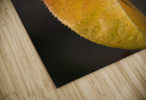 Leaf Solo Joy Watson puzzle