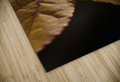 leaf Textures Joy Watson puzzle