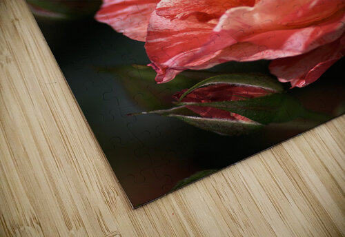 Tri Toned Rose Joy Watson puzzle