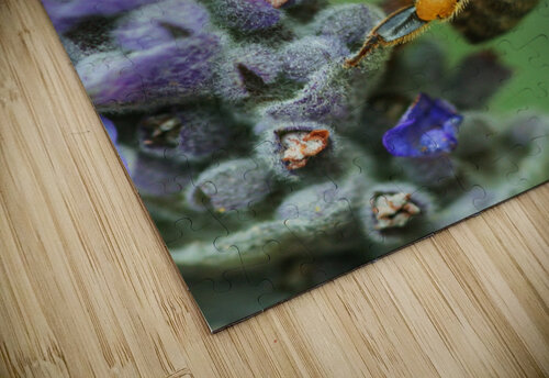 Lavender Bee Joy Watson puzzle