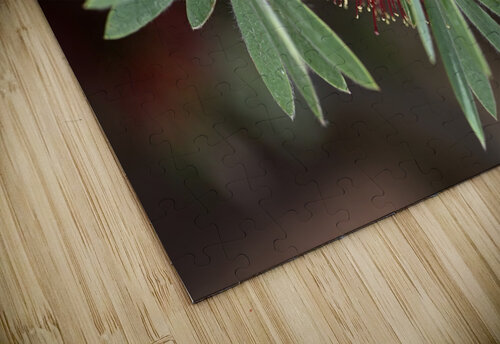 Bottlebrush Flower Joy Watson puzzle