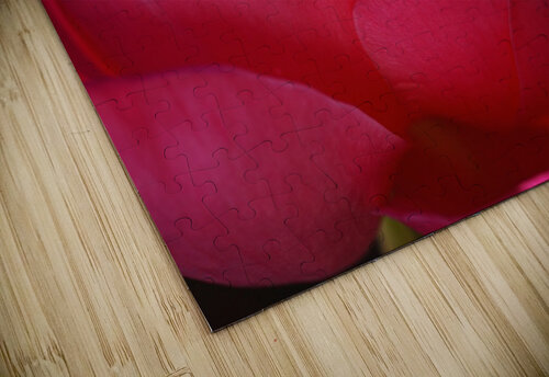 Hot Pink Rose Joy Watson puzzle