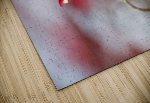 Soft Flowering Dogwoods Joy Watson puzzle