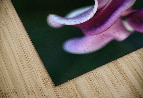 Corkscrew Vine Flower Joy Watson puzzle