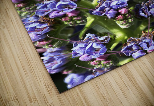 Veronica Flower Joy Watson puzzle
