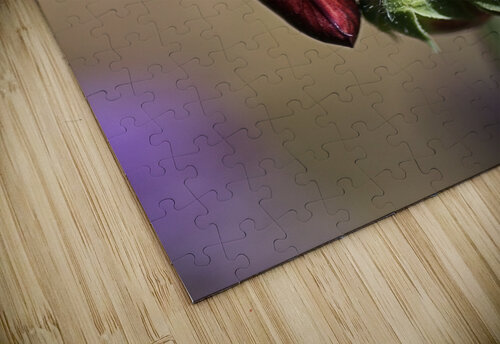 Split Pea Buds Joy Watson puzzle