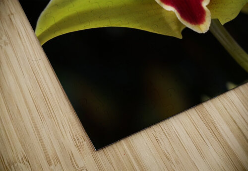 Green Orchid Joy Watson puzzle