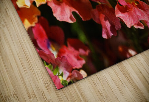 Orange Flower Display Joy Watson puzzle