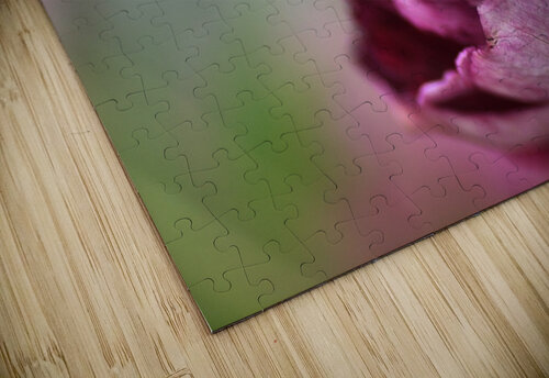 Soft Rose Joy Watson puzzle