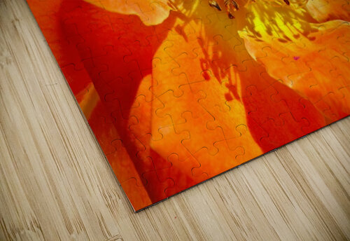 Orange Rose Joy Watson puzzle