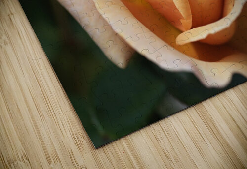 Julias Rose Joy Watson puzzle
