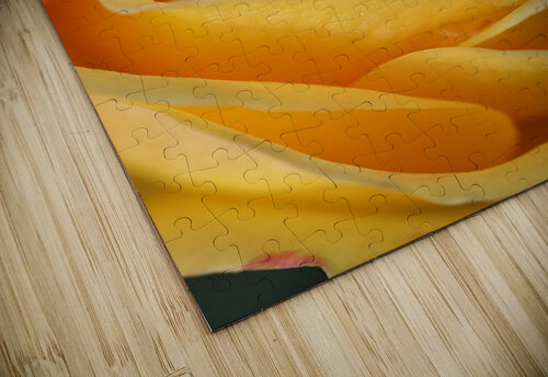 Orange Rose Heart Joy Watson puzzle