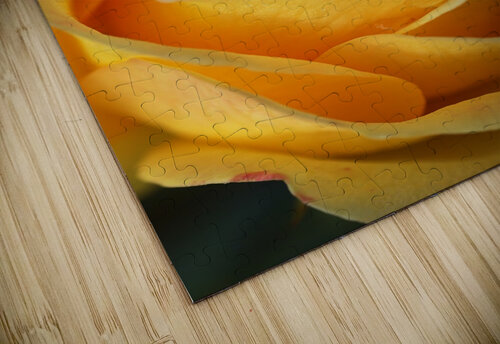 Orange Rose Delight Joy Watson puzzle