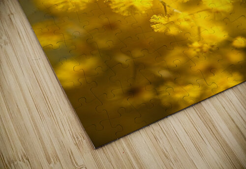 Wattle Tree Flowers Joy Watson puzzle