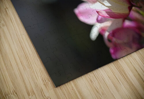 Ixia Flower Joy Watson puzzle