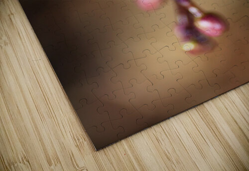Orchid Buds Joy Watson puzzle