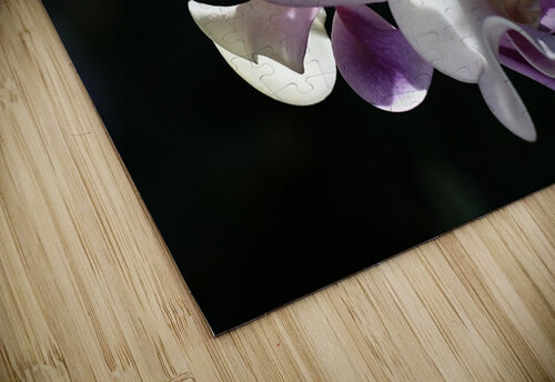 Corkscrew Flower Joy Watson puzzle