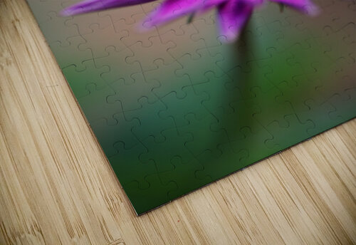 Purple Daisy Joy Watson puzzle