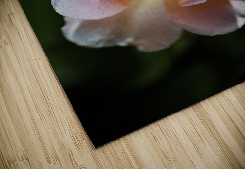 Romantic Rose Joy Watson puzzle