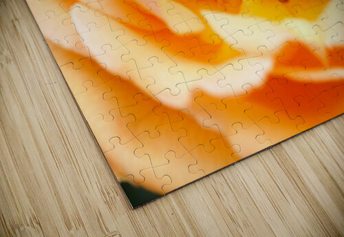 Orange Rose Eye Joy Watson puzzle