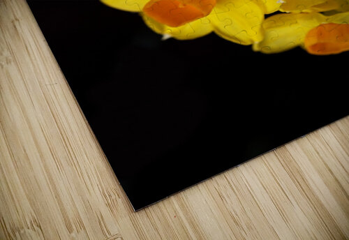 Yellow Jonquils Joy Watson puzzle