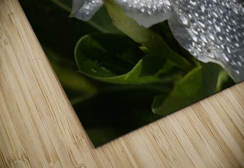 Natures Glitter Joy Watson puzzle
