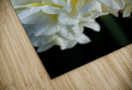 Jonquil Flower Ring Joy Watson puzzle