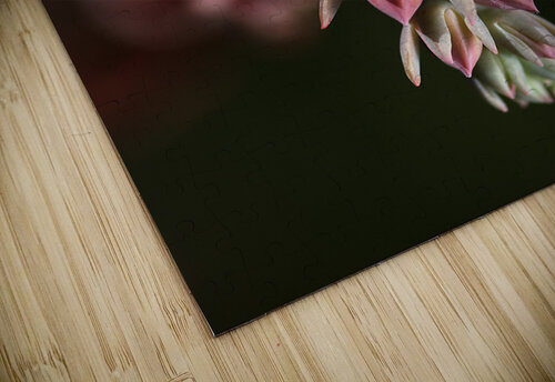 Succulent Flowers Joy Watson puzzle