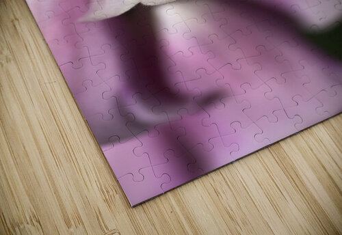 Foxglove Flowers Joy Watson puzzle