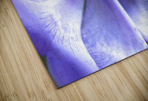 Blue Anemone Joy Watson puzzle