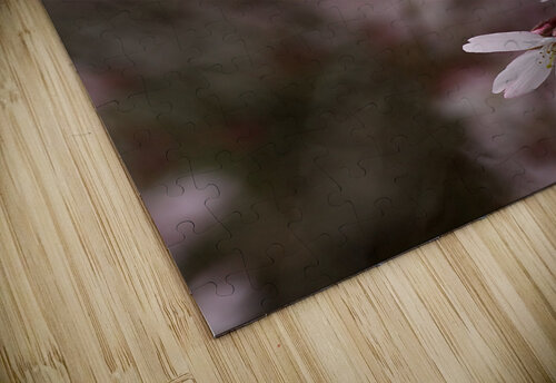 Weeping Cherry Joy Watson puzzle