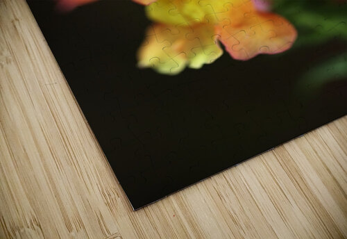 Snapdragon Variety Joy Watson puzzle