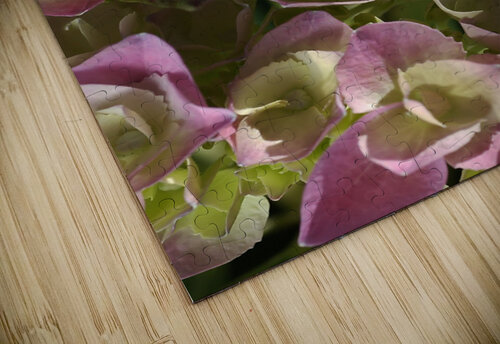 Hydrangea In Pink Joy Watson puzzle