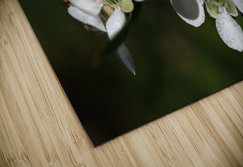 Tea Tree Flowers Joy Watson puzzle