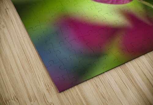 Bougainvillea  Joy Watson puzzle