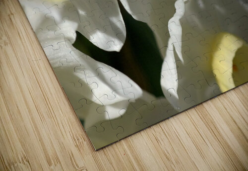 Jonquils  Joy Watson puzzle