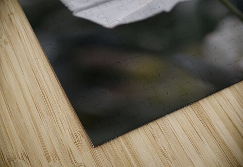 Morning Glory Joy Watson puzzle